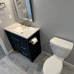 Bathroom Cabinet and Toilet Remodeling