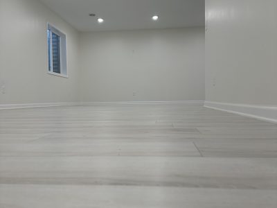 Basement Apartment Renovation
